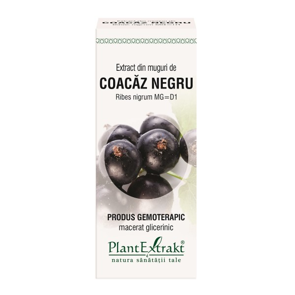 Extract din muguri de Coacaz Negru,  50 ml, Plant Extrakt