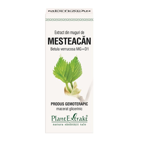 Extract din muguri de Mesteacăn, 50 ml, Plant Extrakt