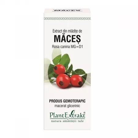 Extract din mladite de Maces, 50 ml, Plant Extract